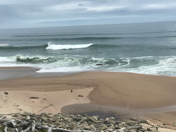 Last day of Heaphy to Karamea